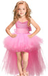 Tulle Dress Dresses Little Palace Store